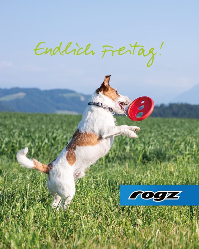 est aliquid similique