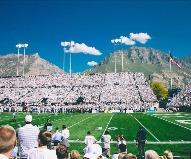 Trixie Cat Toy Mouse