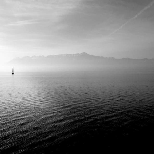 Trixie Cat Toy Mouse