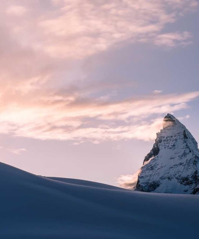 Trixie Cat Toy Mouse