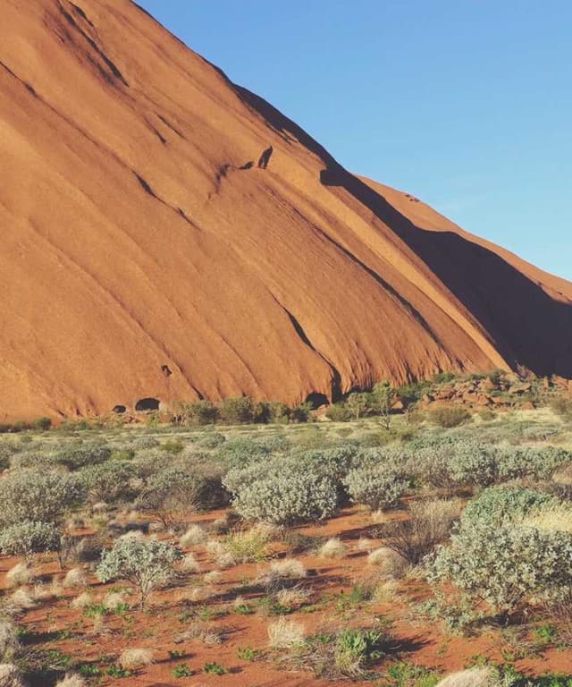 Curver Dog Food Container 10kg