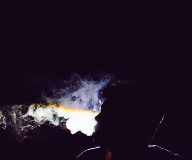 Curver Dog Food Container 10kg