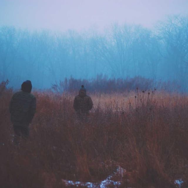 Furminator Deshedding Tool M