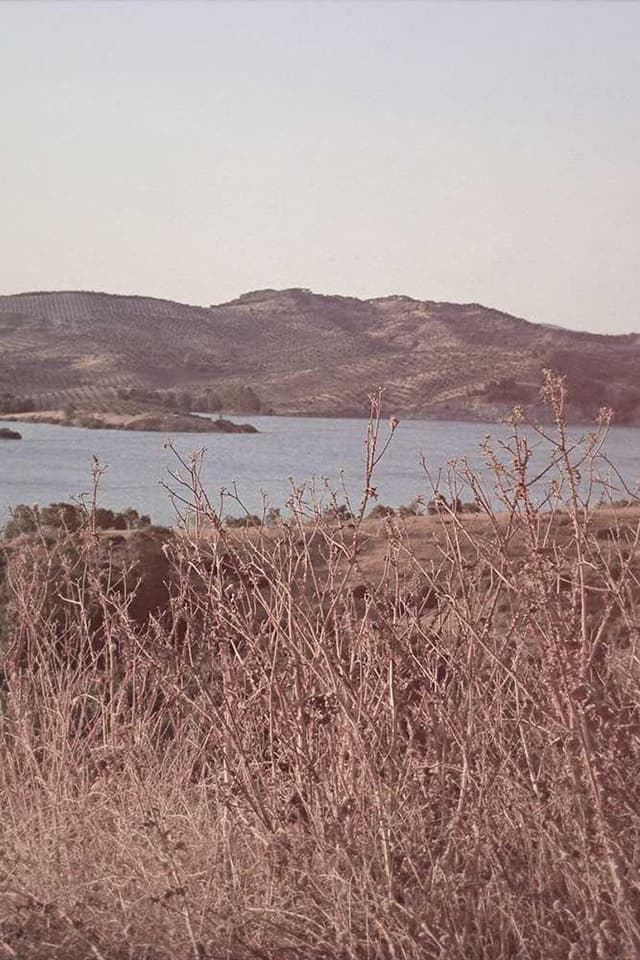 Royal Canin Urinary S/O