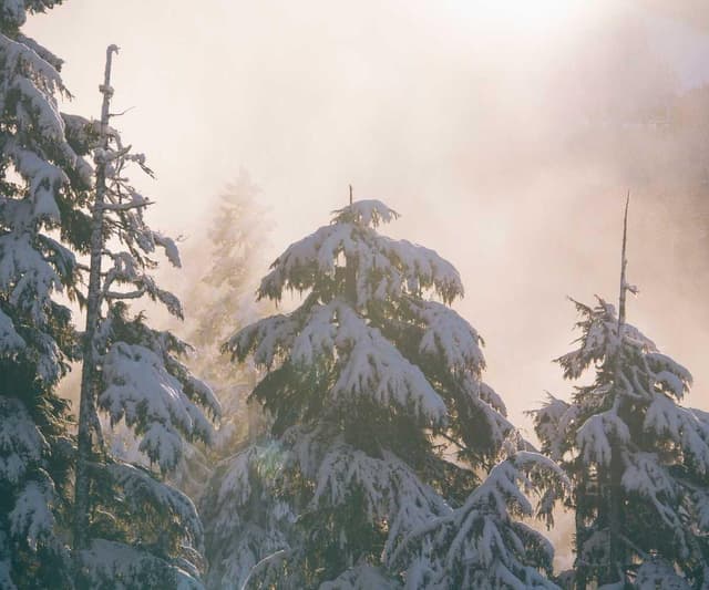 Royal Canin Urinary S/O