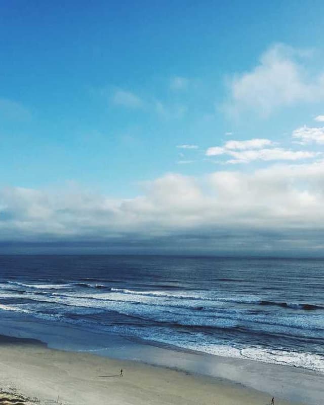 Furminator Deshedding Tool M