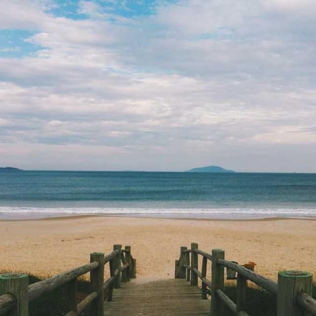 Royal Canin Urinary S/O