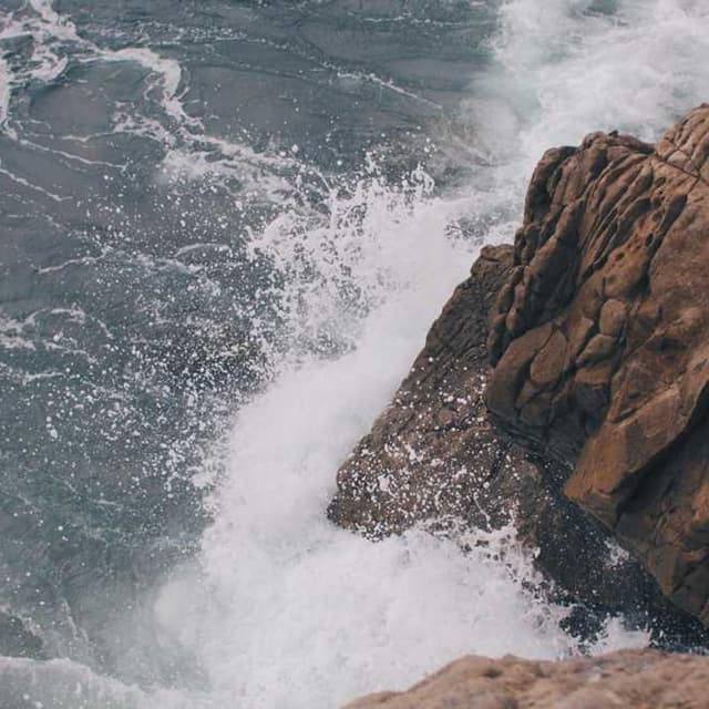 Trixie Cat Toy Mouse