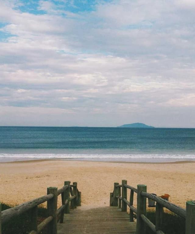 Curver Dog Food Container 10kg