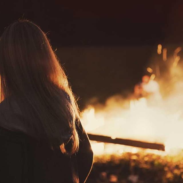 Curver Dog Food Container 10kg