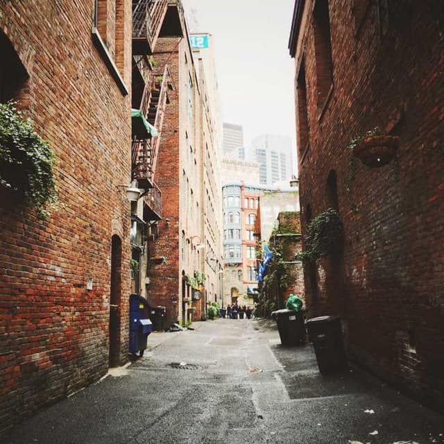 Flexi Leash New Classic S