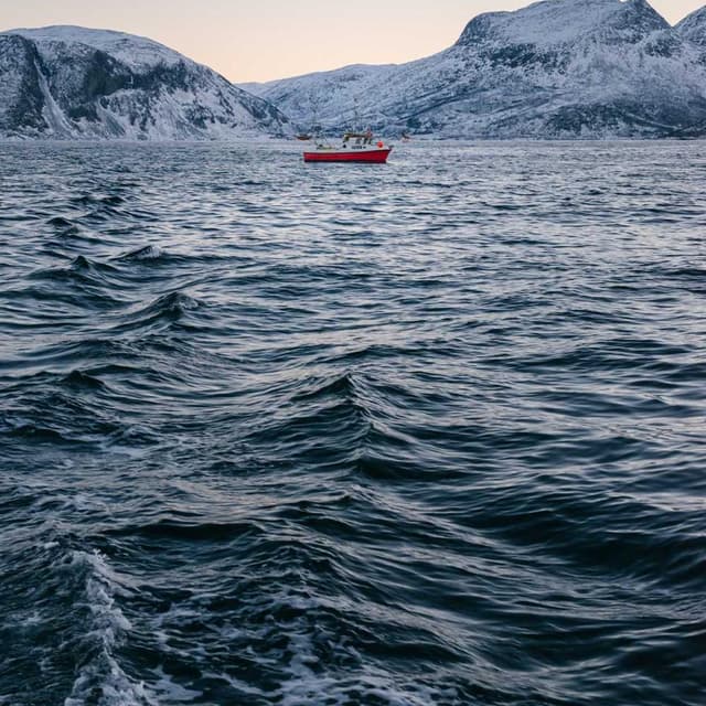 Curver Dog Food Container 10kg