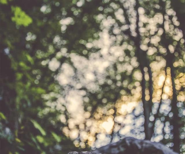 bePURE Liquid Chicken Snack