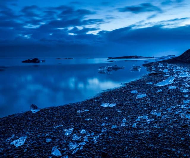 Flexi Leash New Classic S