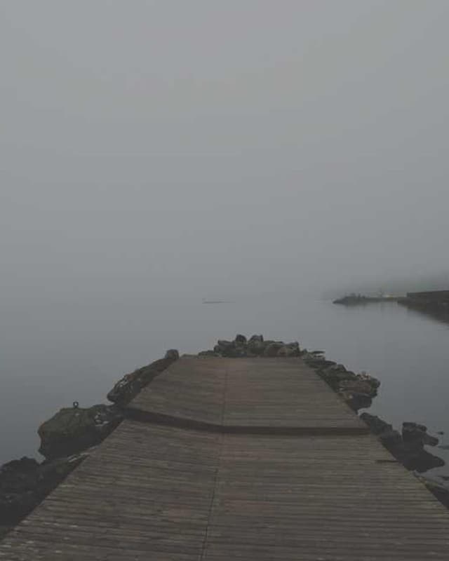 Curver Dog Food Container 10kg