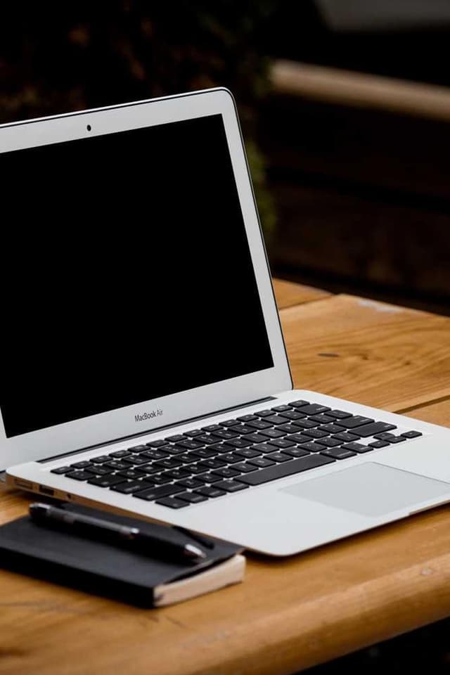 Trixie Cat Toy Mouse