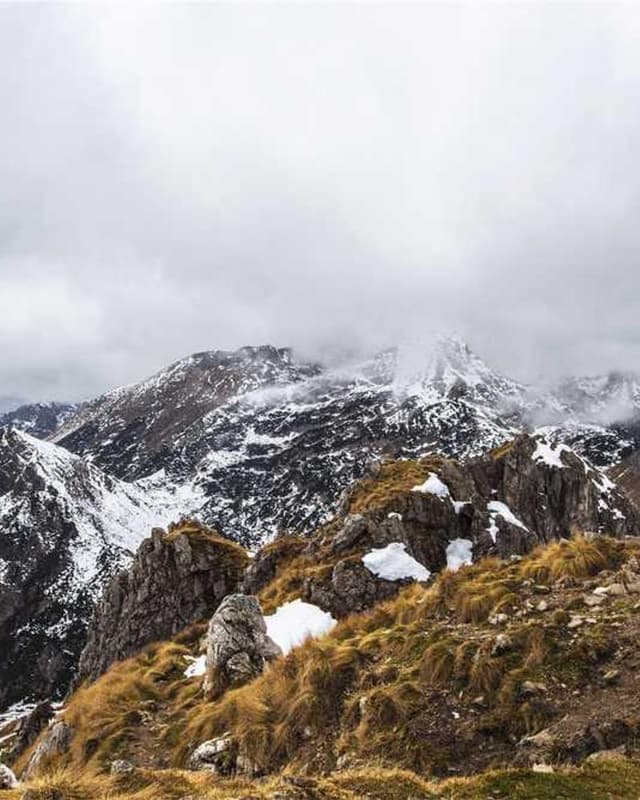 Freezack Single Dinner Bowl for Dogs