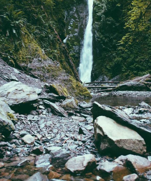 Royal Canin Urinary S/O