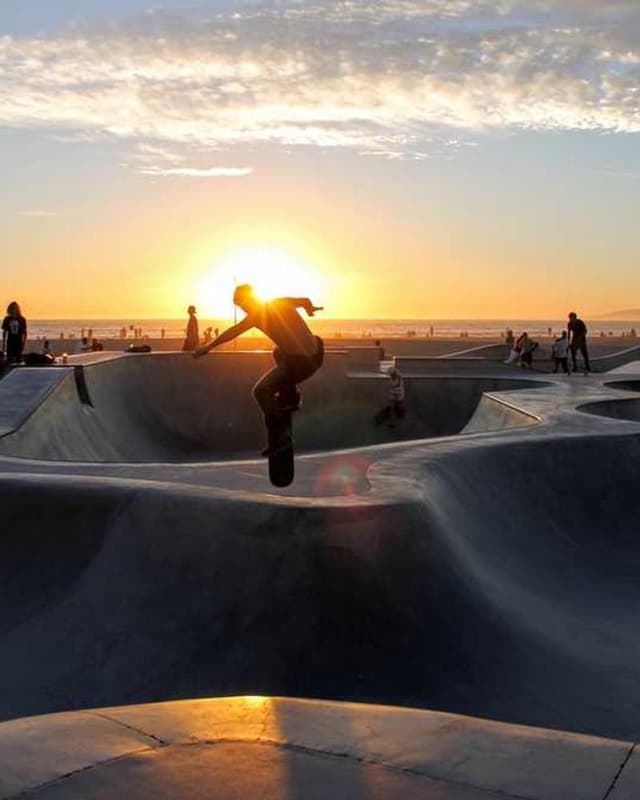 Flexi Leash New Classic S