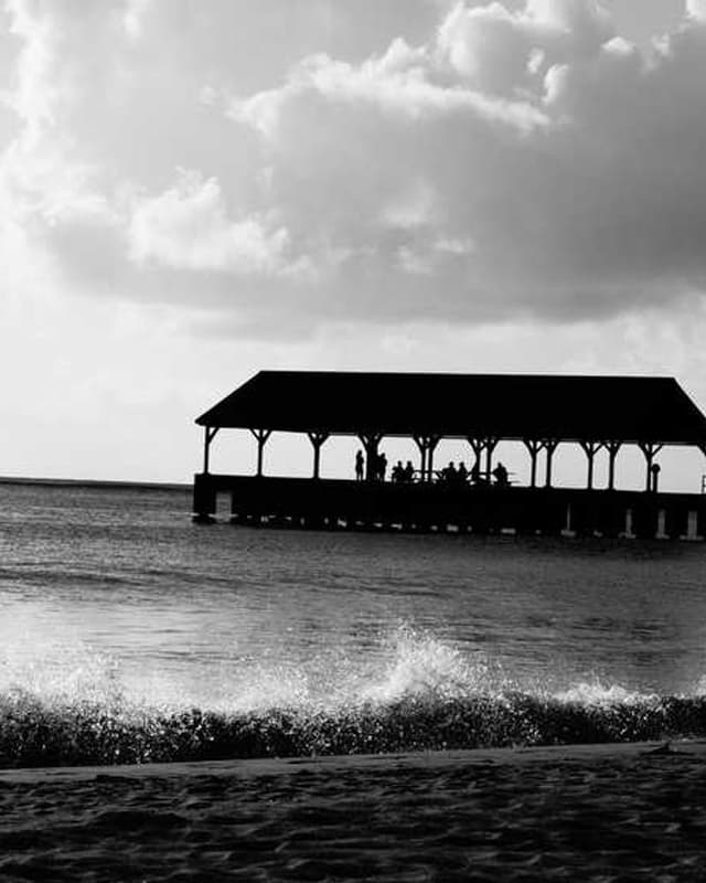 Curver Dog Food Container 10kg