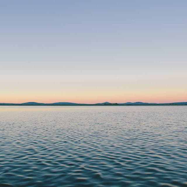 Furminator Deshedding Tool M