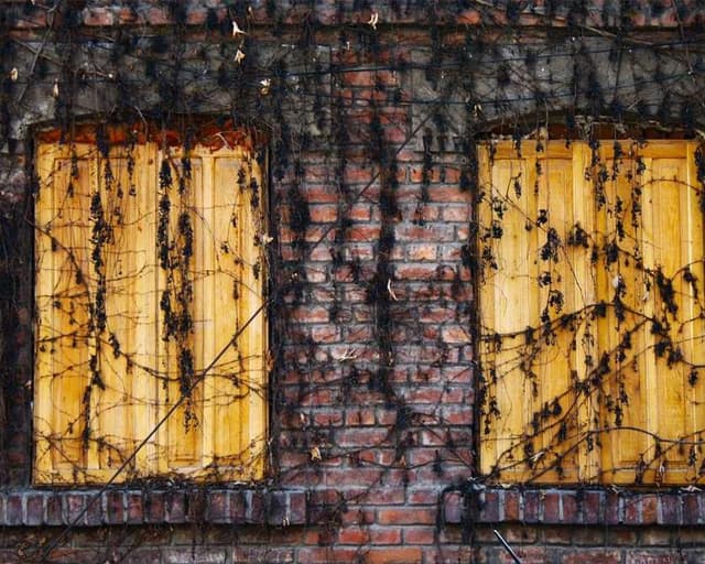 Furminator Deshedding Tool M