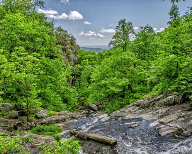 Curver Dog Food Container 10kg