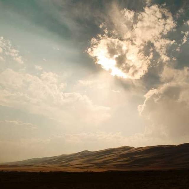 Flexi Leash New Classic S