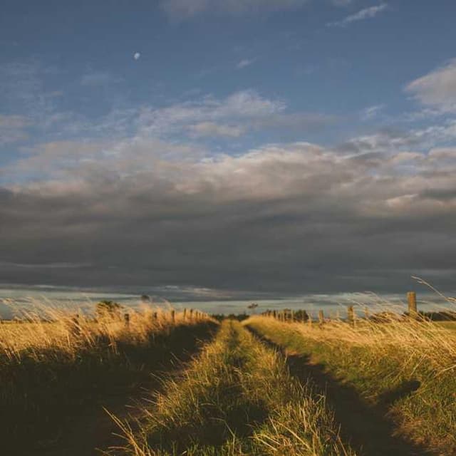 Royal Canin Urinary S/O