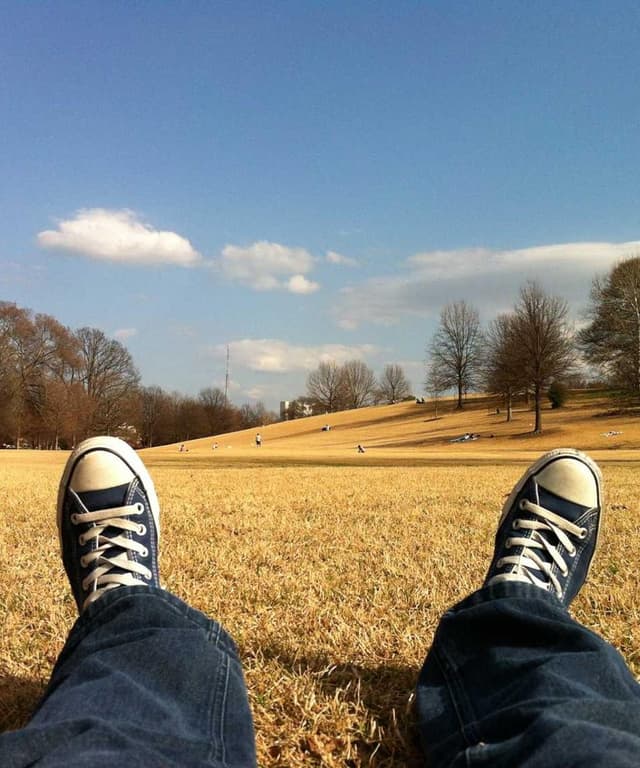 Furminator Deshedding Tool M