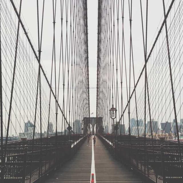 Furminator Deshedding Tool M