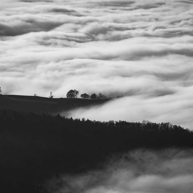 Freezack Single Dinner Bowl for Dogs