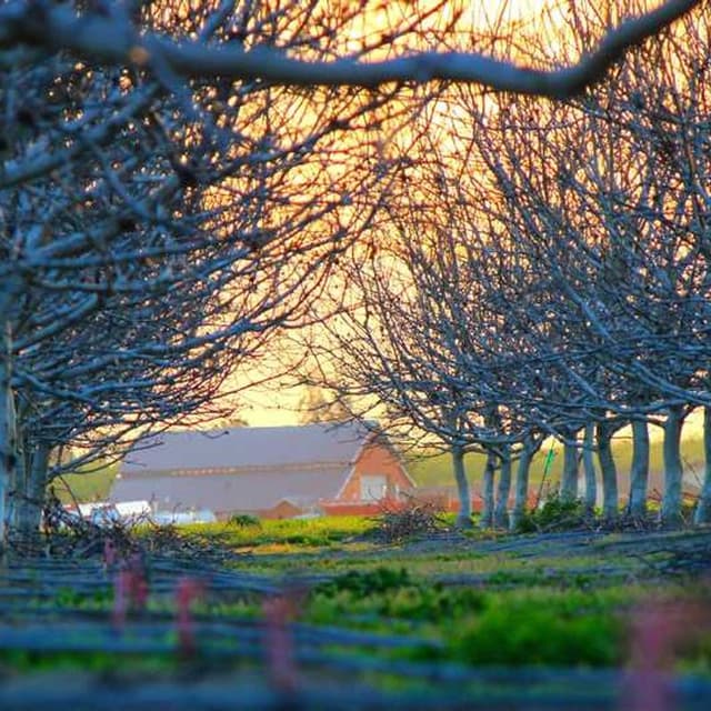 Curver Dog Food Container 10kg