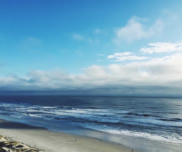 Royal Canin Urinary S/O