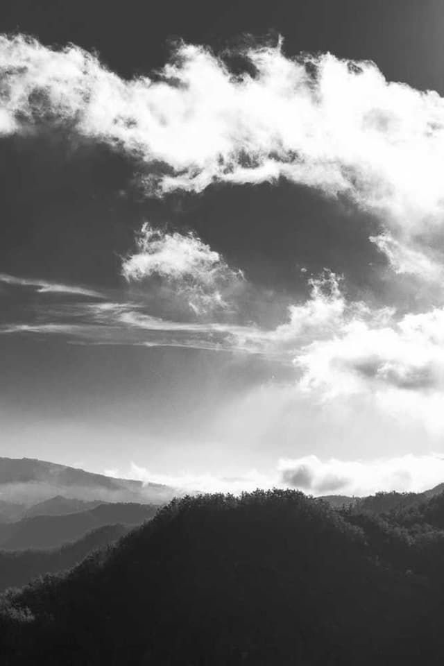 [DE] Royal Canin Urinary S/O (Purple molestiae #266)