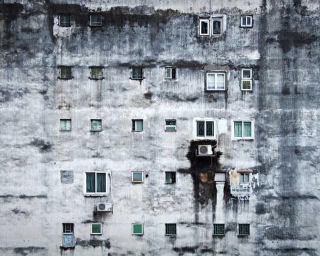 [DE] bePURE Liquid Chicken Snack (LightGoldenRodYellow repellendus #882)