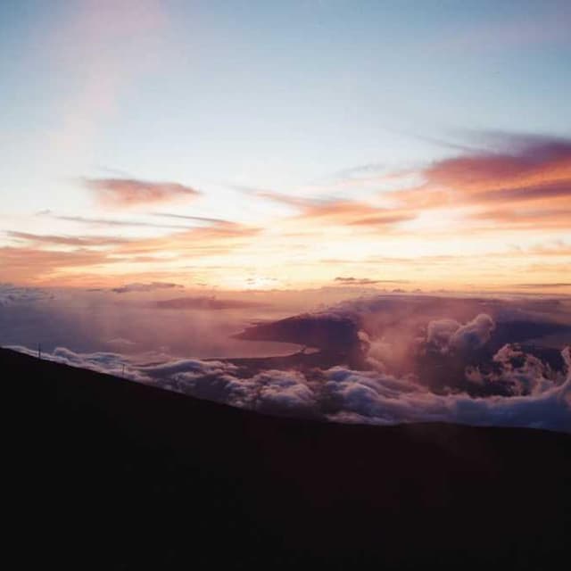 [DE] Curver Hundefutterbehälter 10kg (LightSkyBlue quidem #248)