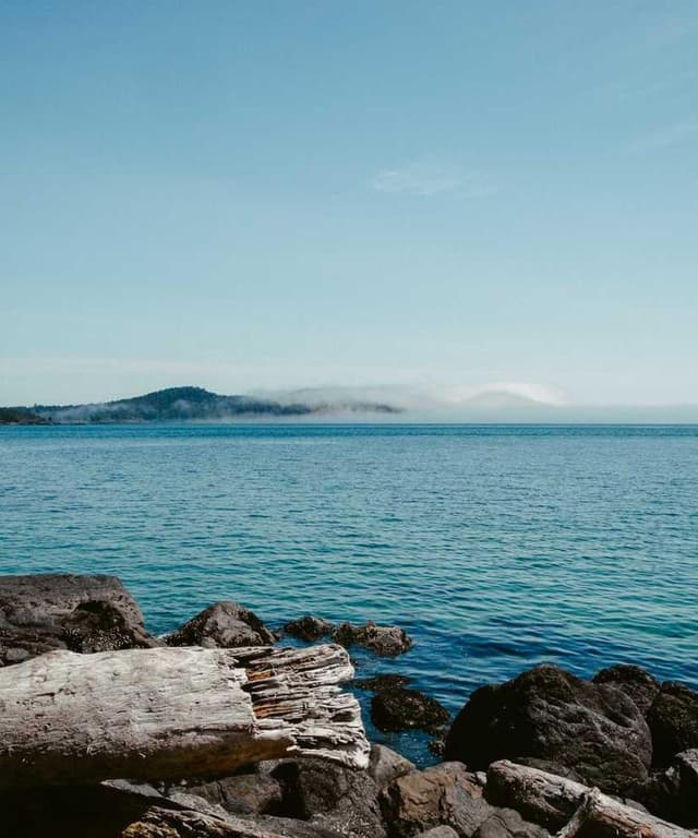 [EN] Swisspet Dog Bed L (DarkCyan hic #006)