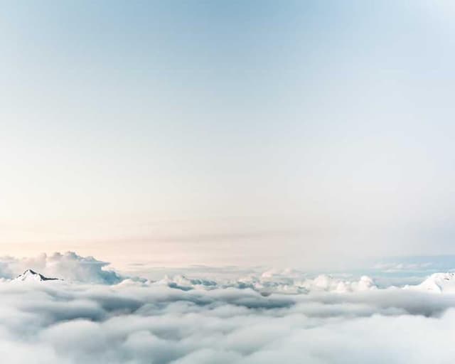 [EN] bePURE Liquid Chicken Snack (Olive in #516)