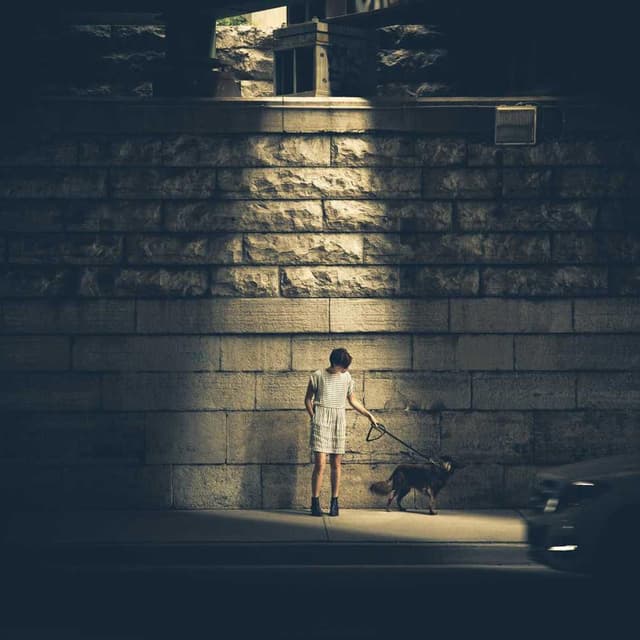 [EN] bePURE Liquid Chicken Snack (MistyRose hic #075)