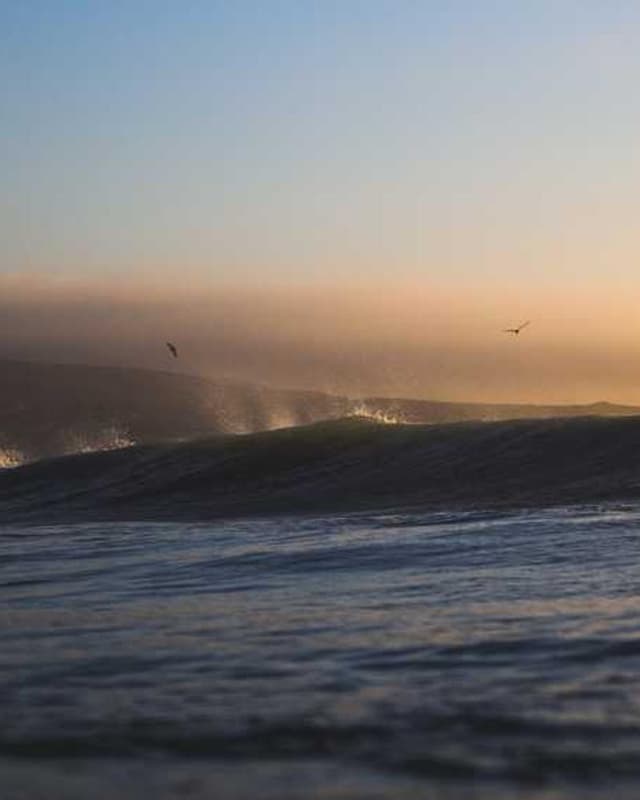 [EN] Curver Dog Food Container 10kg (DarkGoldenRod voluptatem #470)