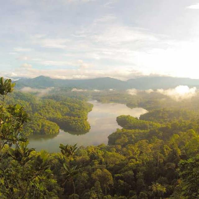 [EN] bePURE Liquid Chicken Snack (Maroon exercitationem #140)