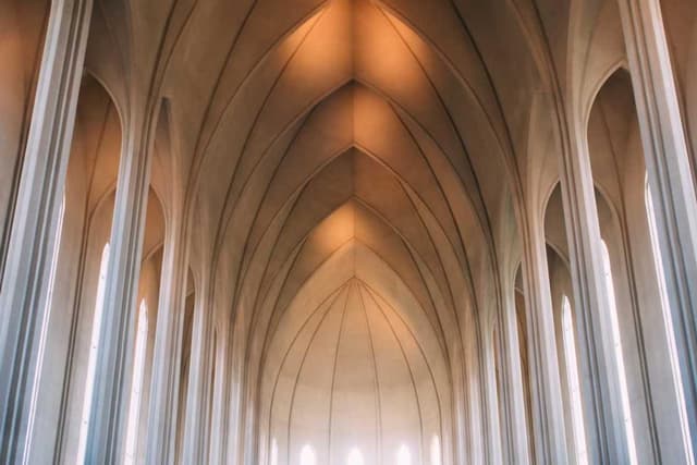 [EN] Curver Dog Food Container 10kg (DarkMagenta et #213)