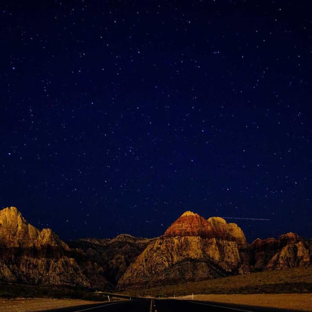 [EN] Royal Canin Urinary S/O (Tomato expedita #948)