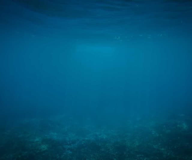 [EN] Royal Canin Urinary S/O (MediumTurquoise hic #529)