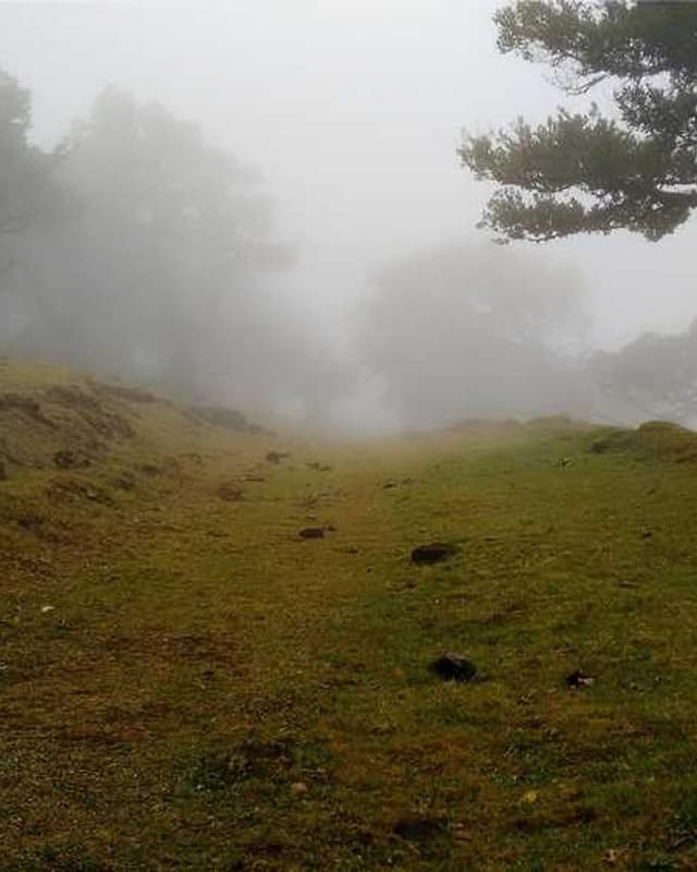 [EN] In-Fluence Eye Cleaner (LightSalmon fugiat #212)