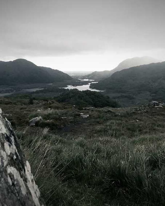 [EN] bePURE Liquid Chicken Snack (DarkTurquoise rerum #449)