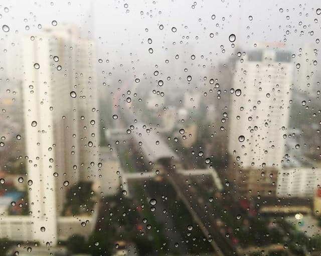 [EN] Hunter Collar Swiss (MediumAquaMarine similique #762)