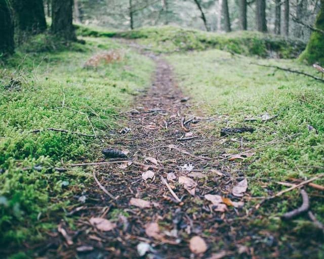 [EN] bePURE Liquid Chicken Snack (DarkOliveGreen quo #610)