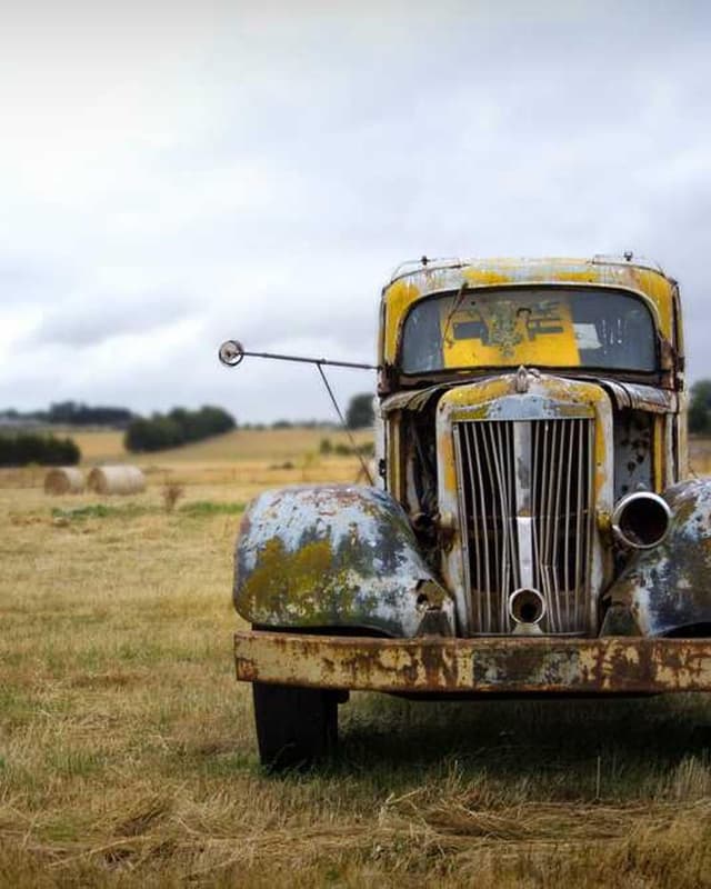 [EN] Hunter Collar Swiss (Sienna magni #152)